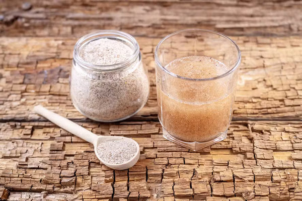 Como Tomar Psyllium do Jeito Certo | Erros que Anulam o Resultado