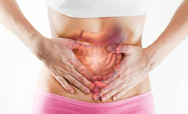Psyllium para Intestino Preso: por que funciona (e o erro que faz piorar)